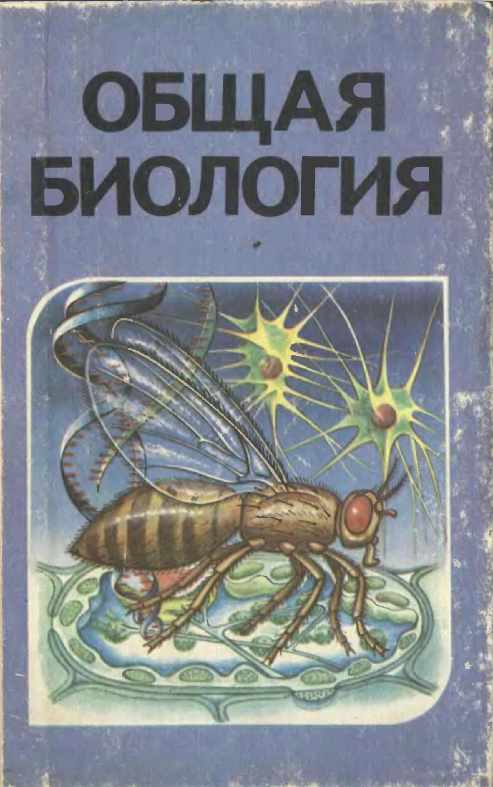 Общая биология (1991)
