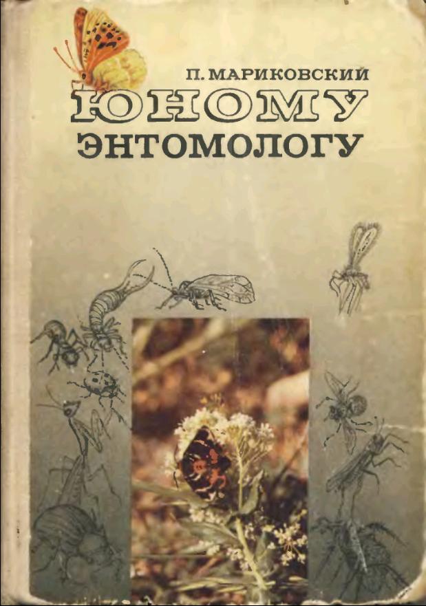 Юному энтомологу (1978)